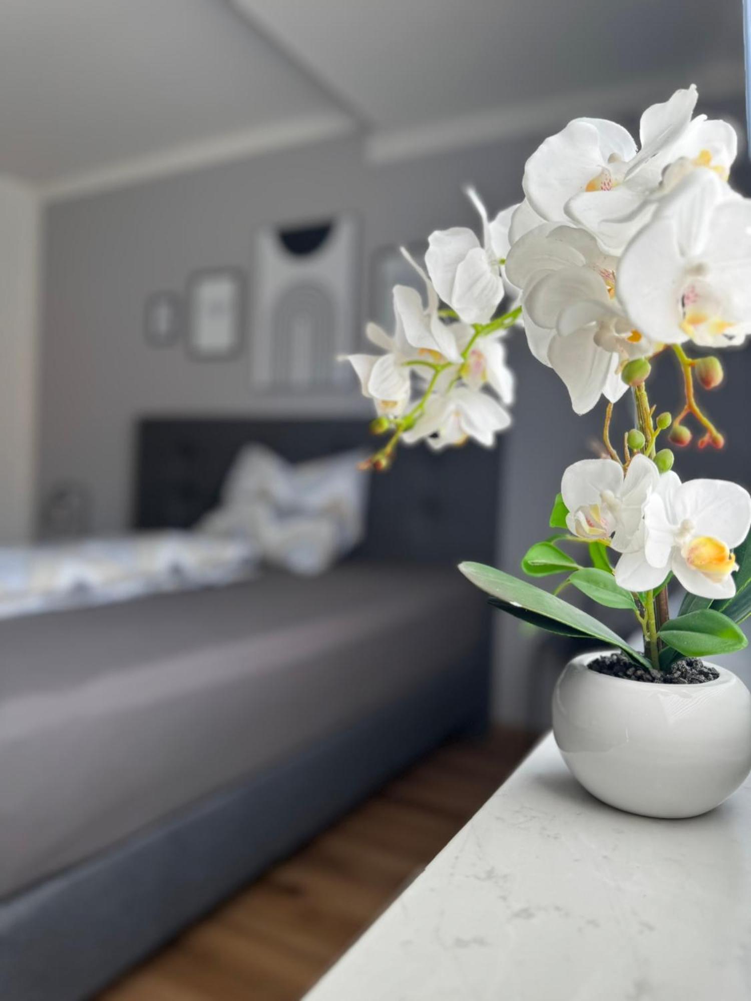 Ferienhaus Hunsrueckliebe Liederbach  외부 사진